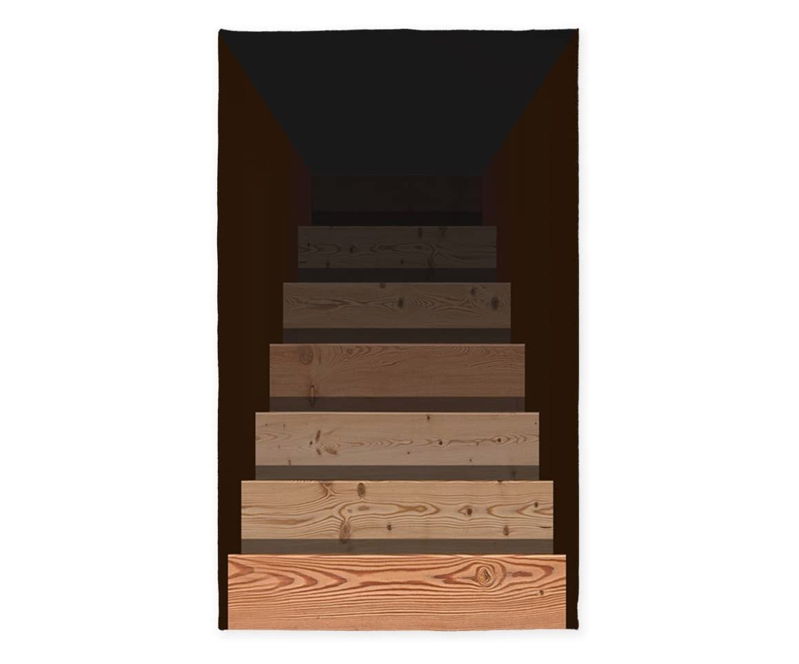 Stairs To Darkness Rug