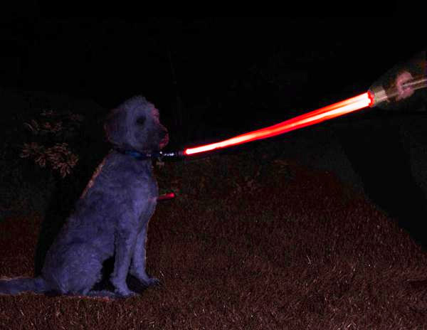 Lightsaber leash shop