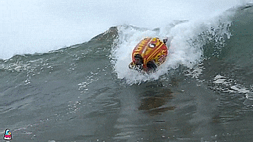 SportsStuff Inflatable Sumo Tube - Wearable tube lets you body surf and ride waves