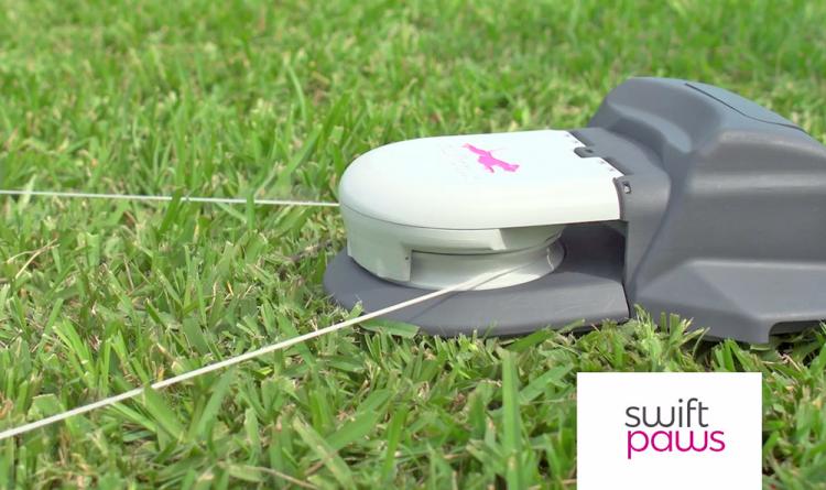 SwiftPaws - Capture the Flag for Dogs by swiftpaws — Kickstarter