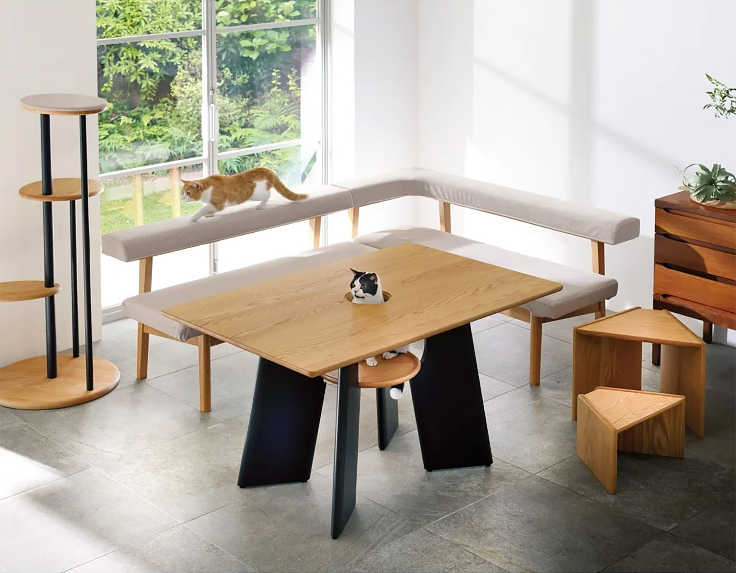 Dining hotsell table cat