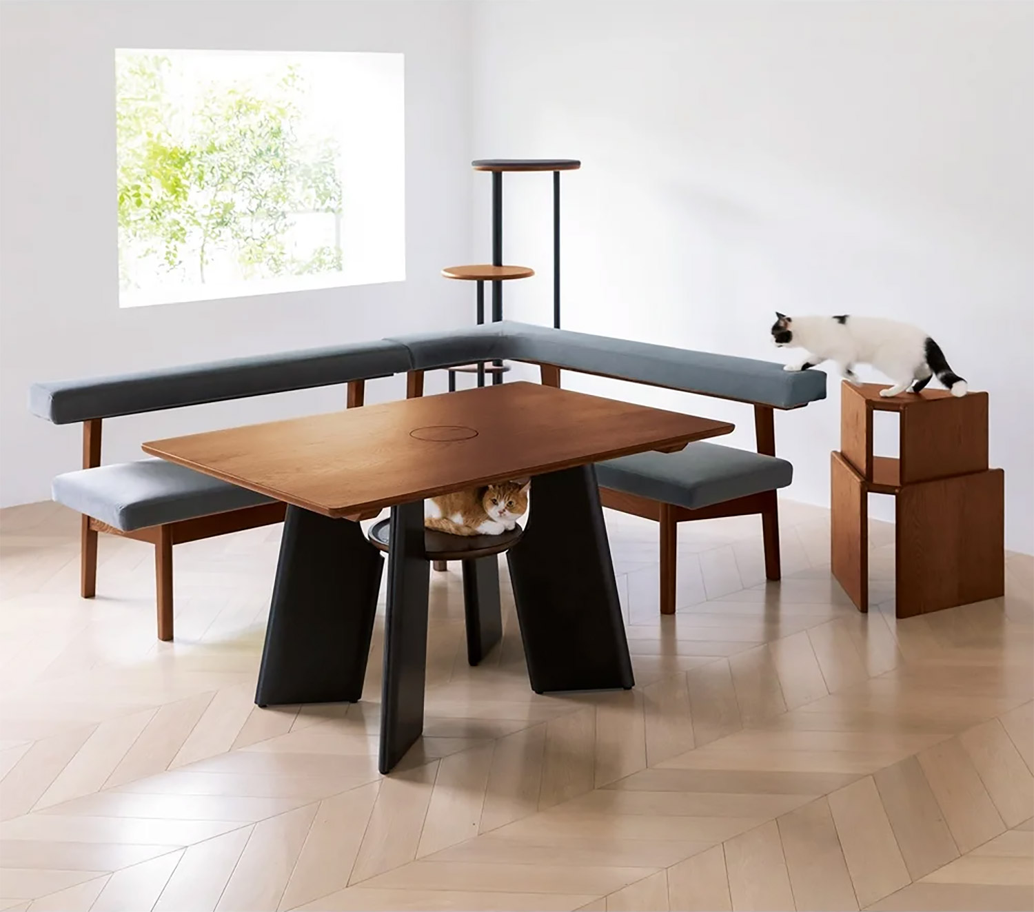 Cat Dining table with hole for your cat to peak through