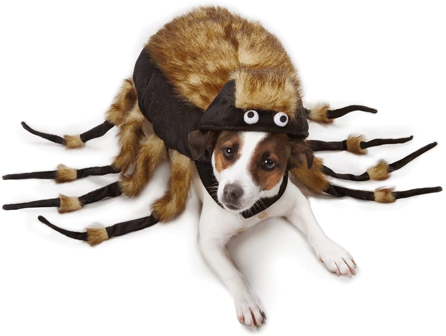 Tarantula Dog Costume Turns Your Dog Into a Giant Spider For Halloween