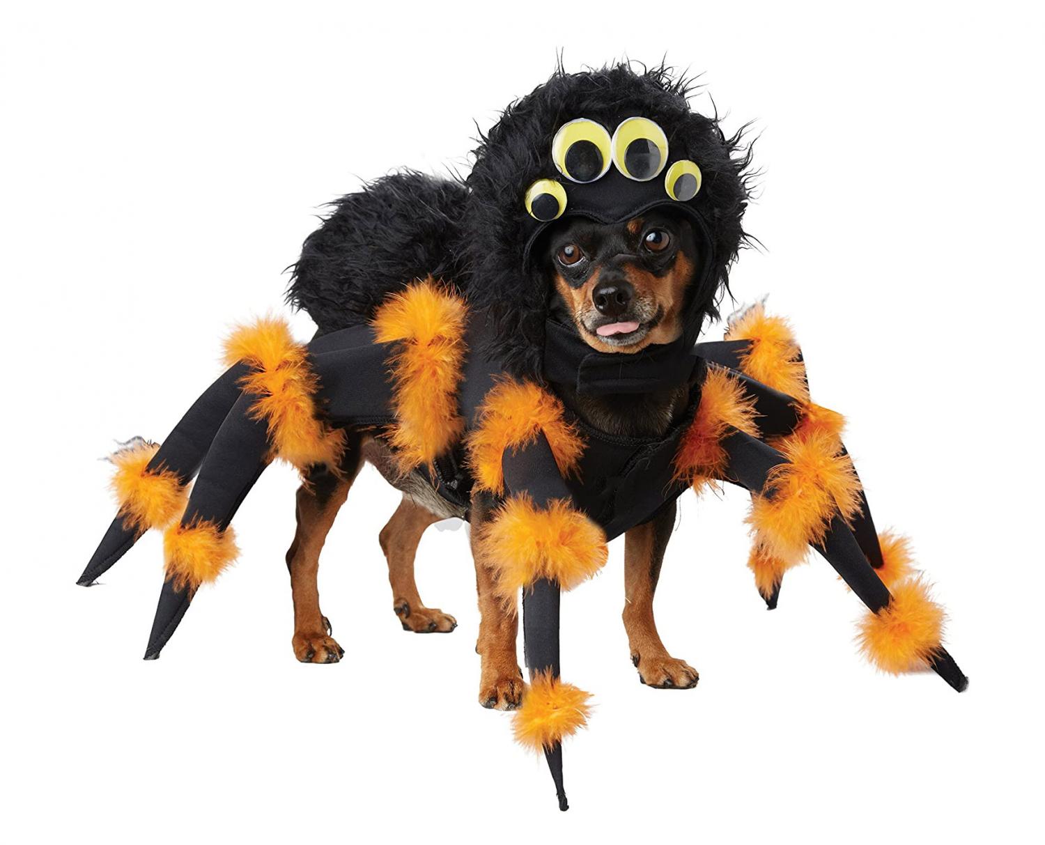 Tarantula Dog Costume Turns Your Dog Into a Giant Spider For Halloween