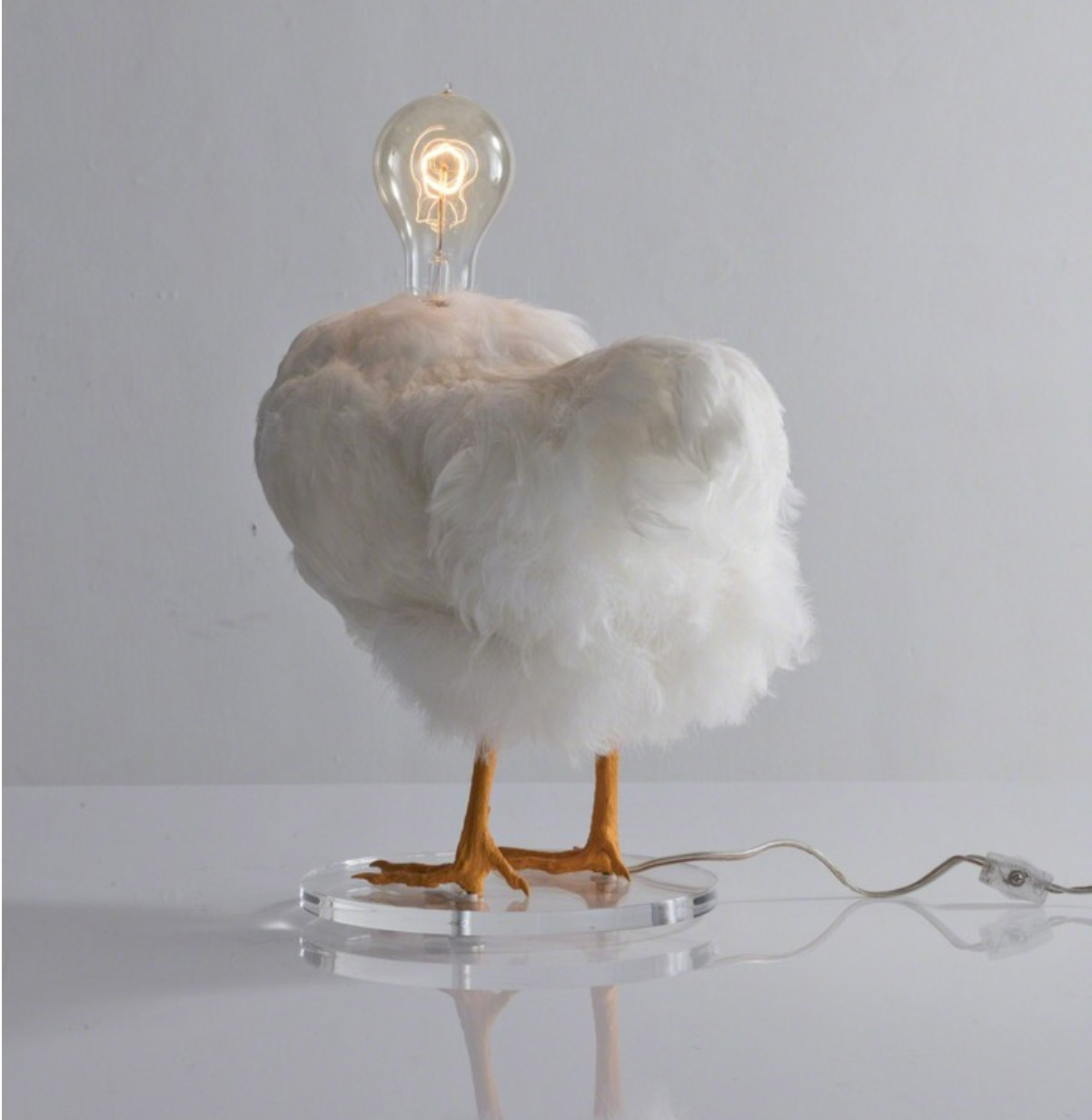 Taxidermy Chicken Light Bulb Lamp