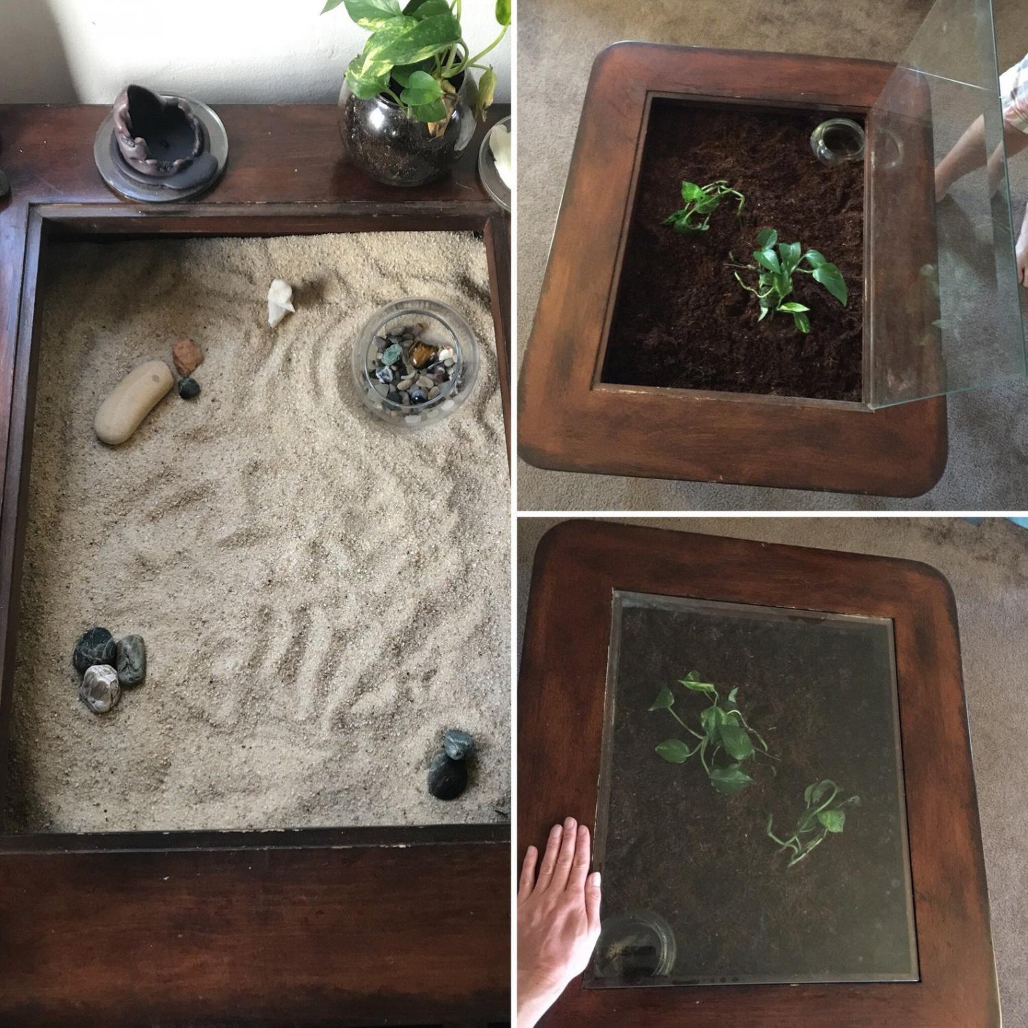 How to Make a Coffee Table Terrarium 