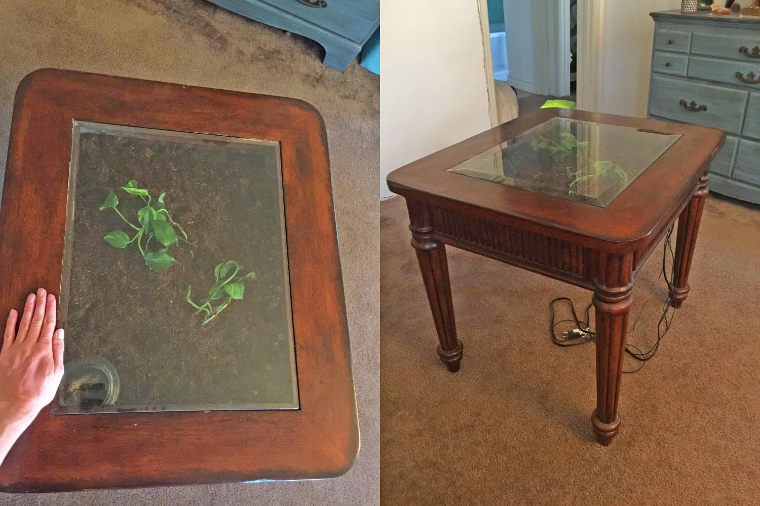 Gigi Clean - Tip of the Day Tuesday:Terrarium Table I'm seeing a lot of  this idea lately and I love it. Repurpose an old coffee table or side  table. You can make