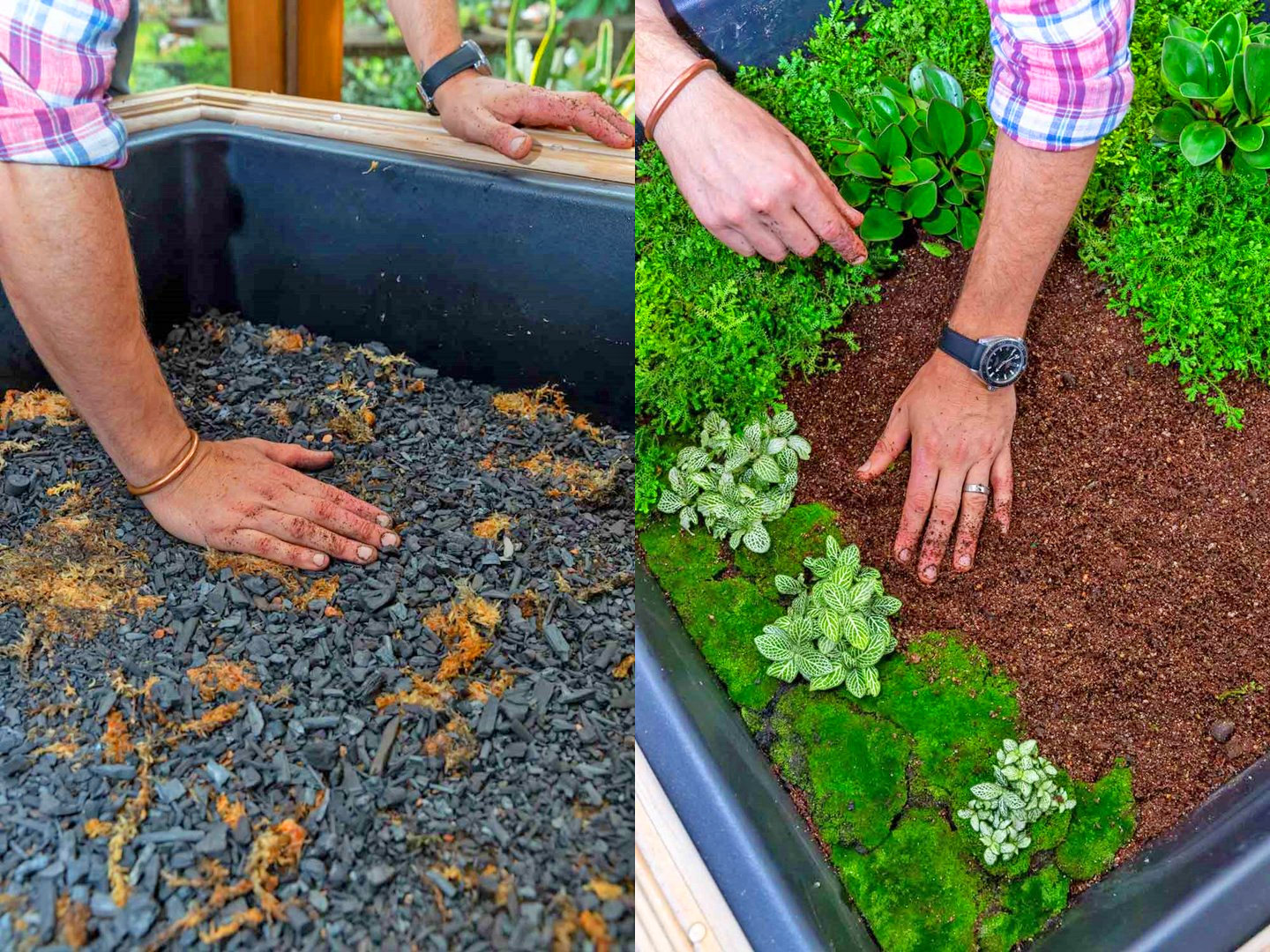 Terrarium Coffee Table - Garden table