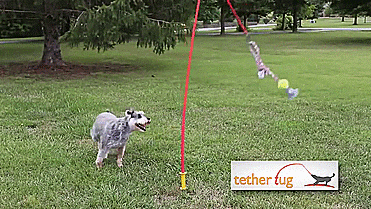 Tether Tug Self Tugging Dog Toy - Lazy tug of war dog toy - GIF