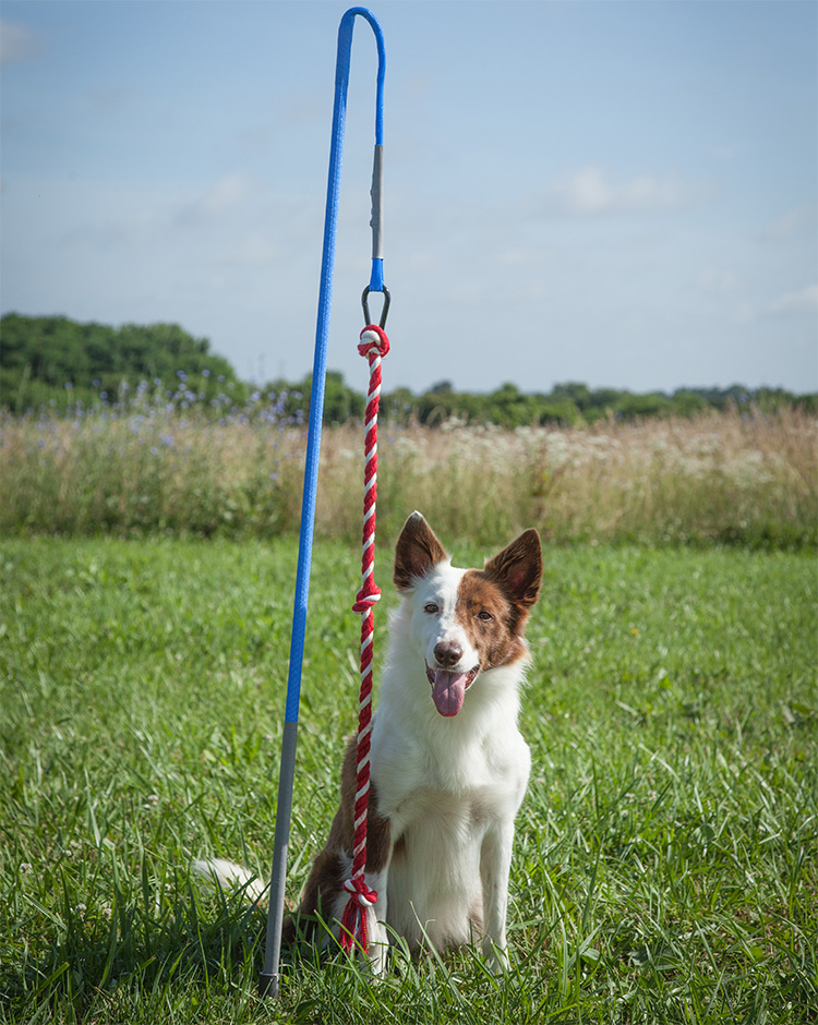 tug of war toy