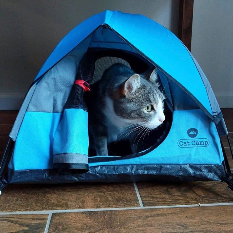 Informeer mosterd Adelaide This Company Sells Those Mini Display Camping Tents Which You Can Use For  Your Cat