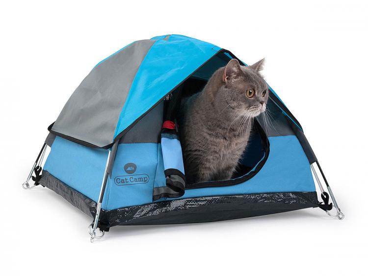 Cat Camp - Mini Camping Tent For Cats