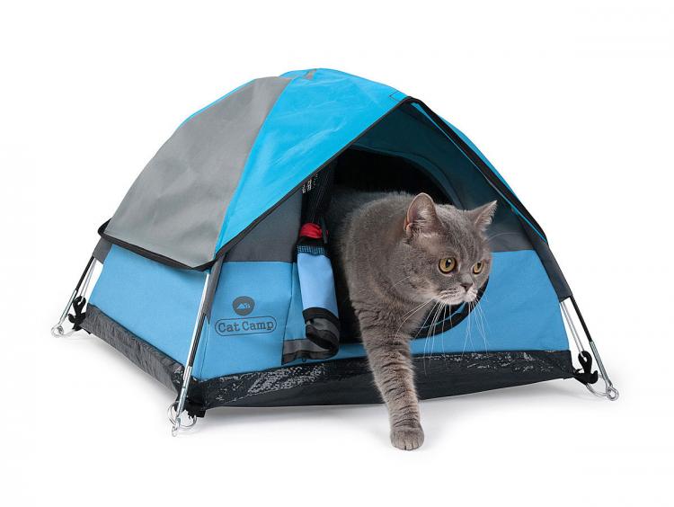 Cat Camp - Mini Camping Tent For Cats