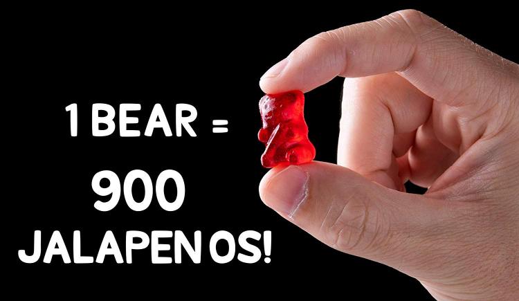 Lil' Nitro Is The World's Hottest Gummy Bear - spiciest candy gummy bear