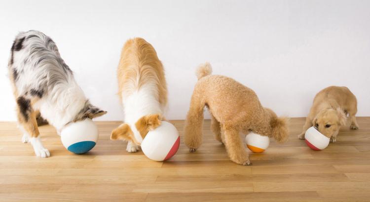 Oppo Food Bowl Slows Down Dogs Eating