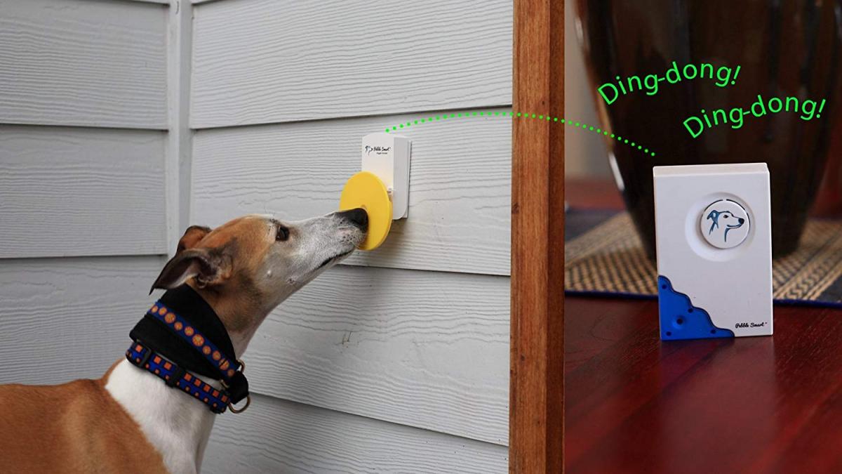 Pebble Smart Doggie Doorbell - Remote doorbell for your dog