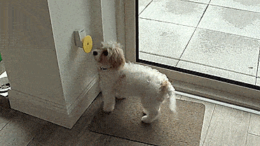 Pebble Smart Doggie Doorbell - Remote doorbell for your dog