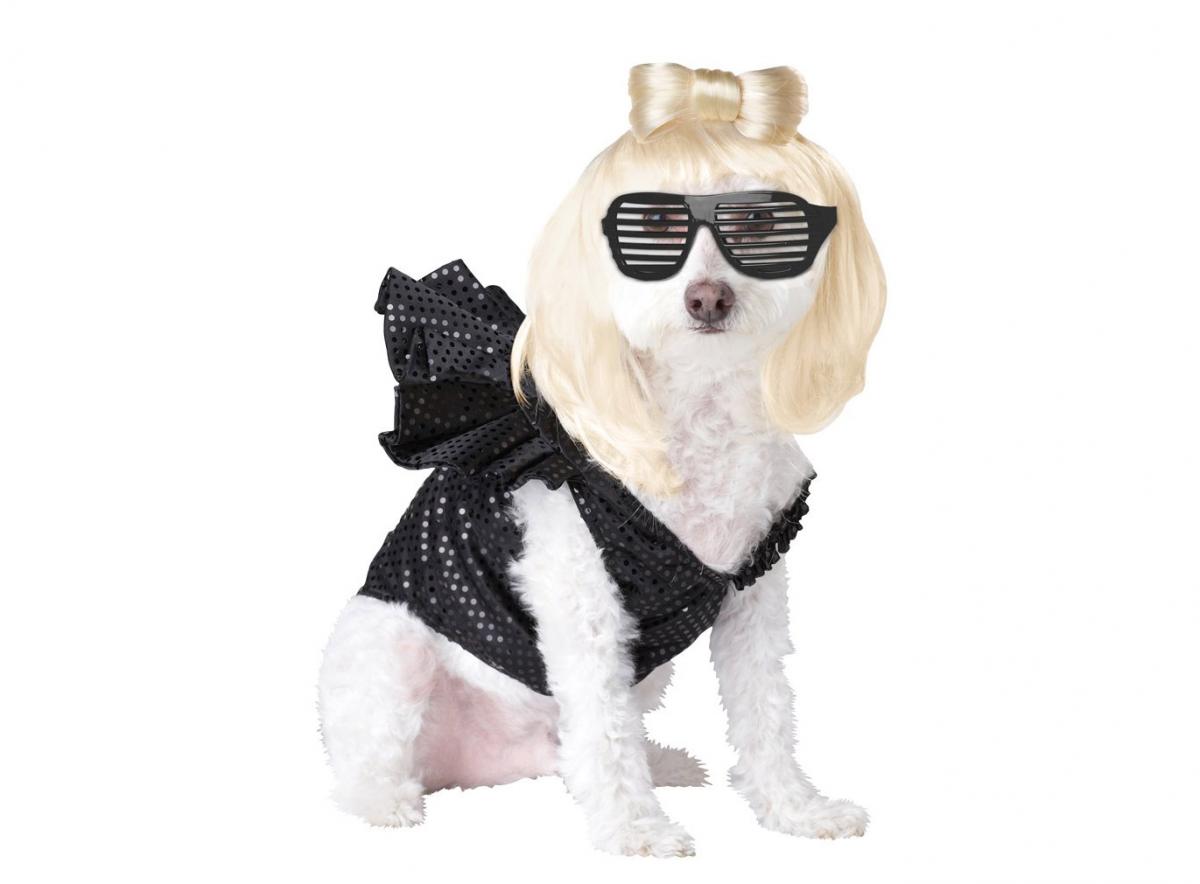 dog marilyn monroe costume