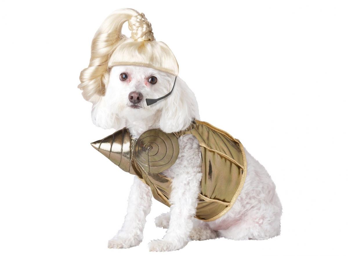 dog marilyn monroe costume