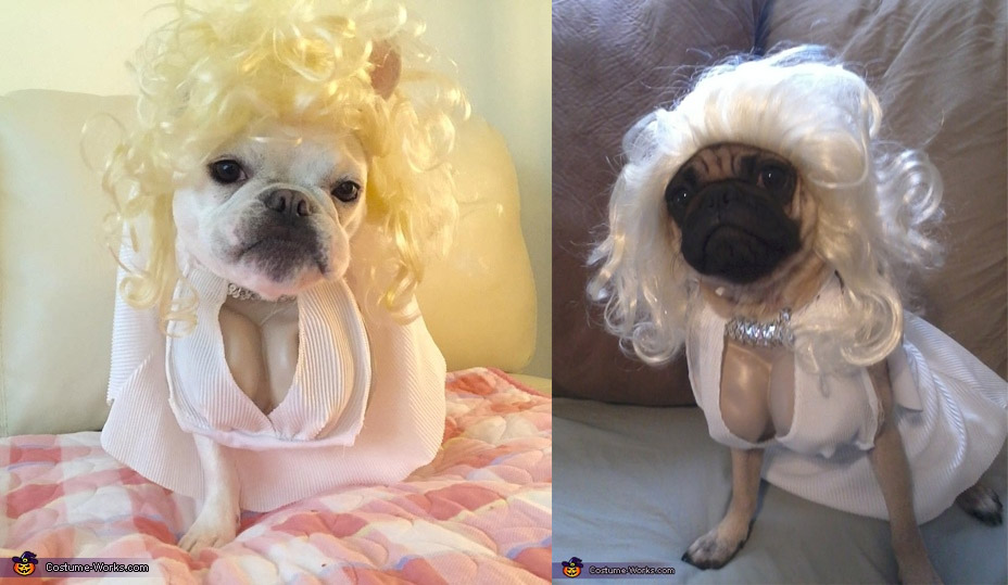 dog marilyn monroe costume