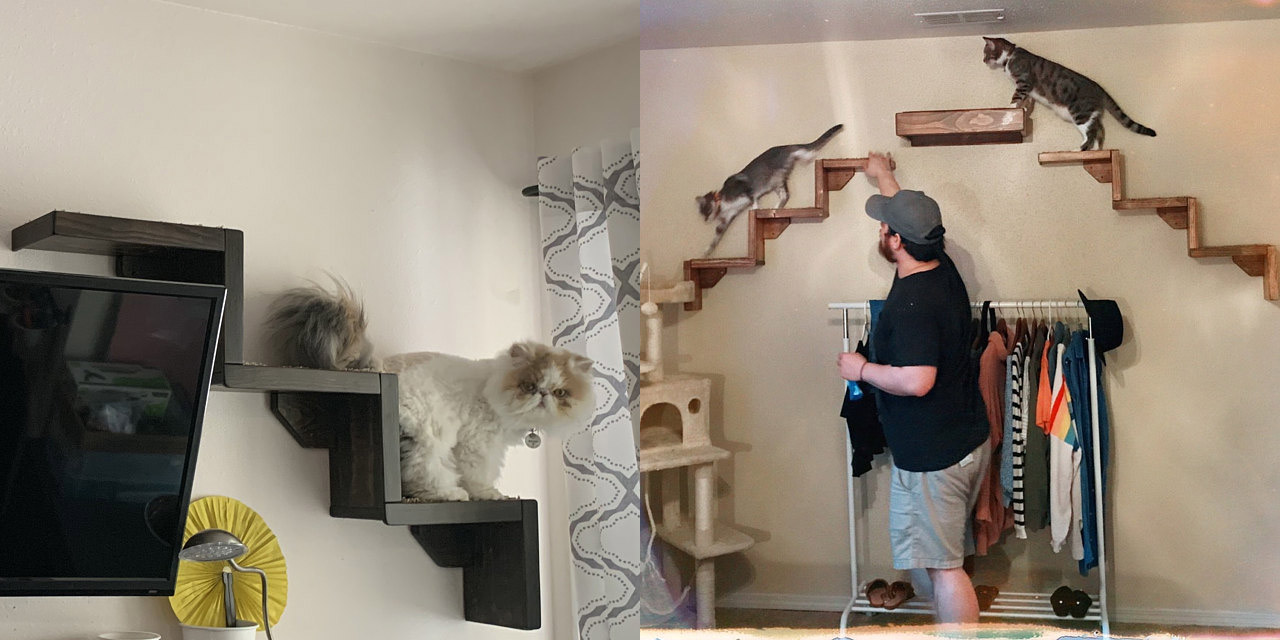 Floating hotsell cat stairs