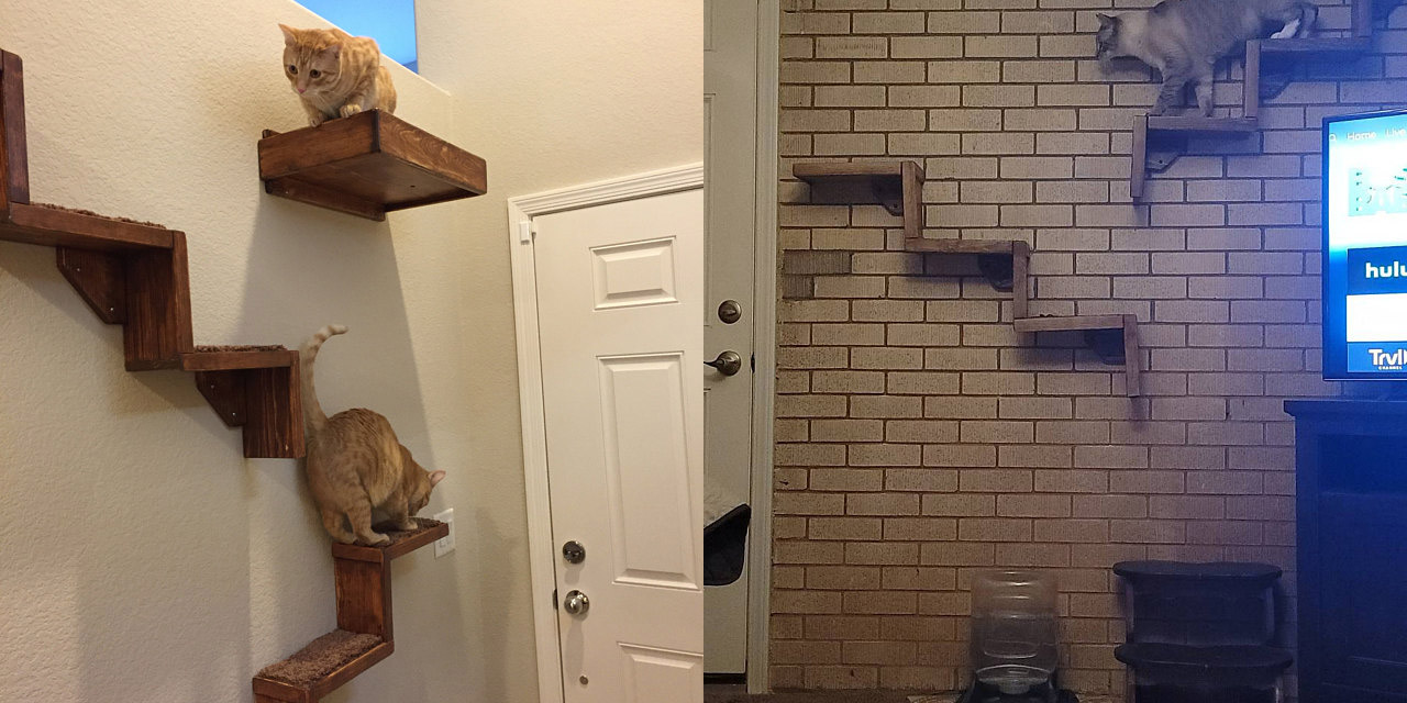 Floating Cat Stairs - Floating cat shelves give your cat a view while they relax