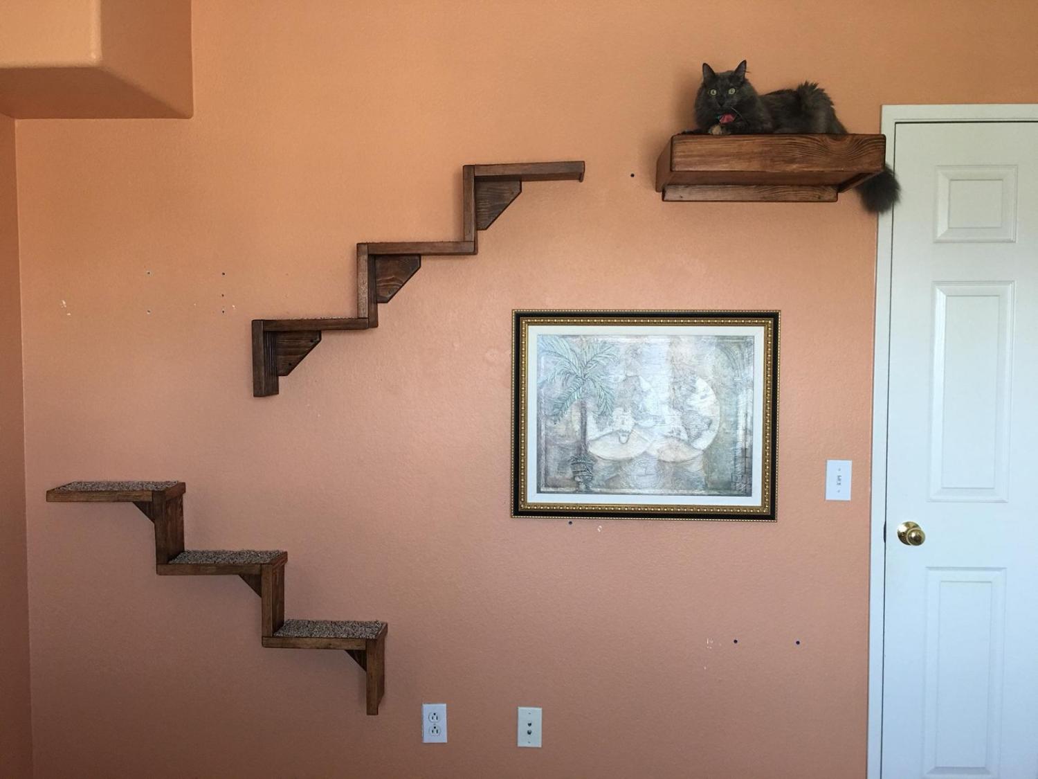 Floating Cat Stairs - Floating cat shelves give your cat a view while they relax