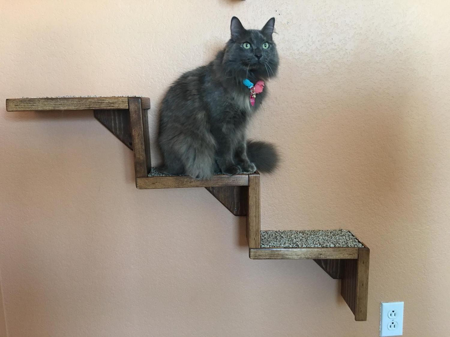 Floating cat stairs best sale