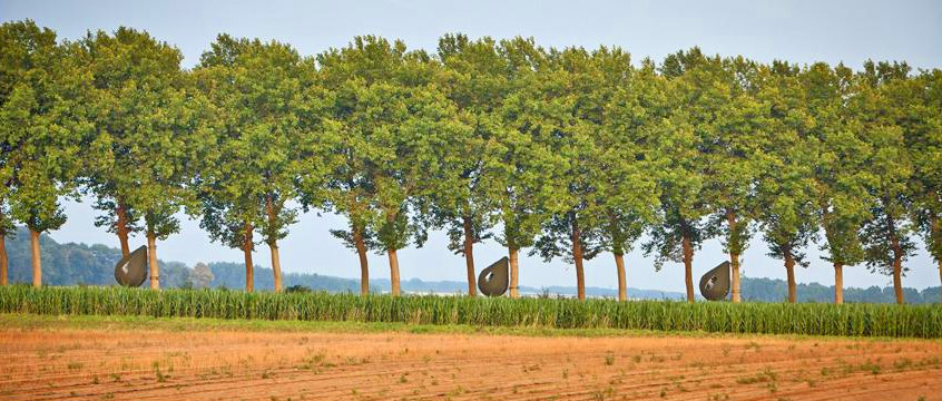 Raindrop Shaped Tree Tents Let You Sleep In The Trees - Dew Drop TreeTents by Dré Wapenaar