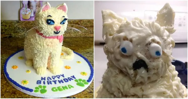 Cat cake baking fail - Best pinterest baking fails