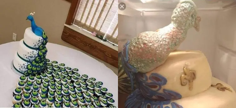 Peacock cake baking fail - Best pinterest baking fails