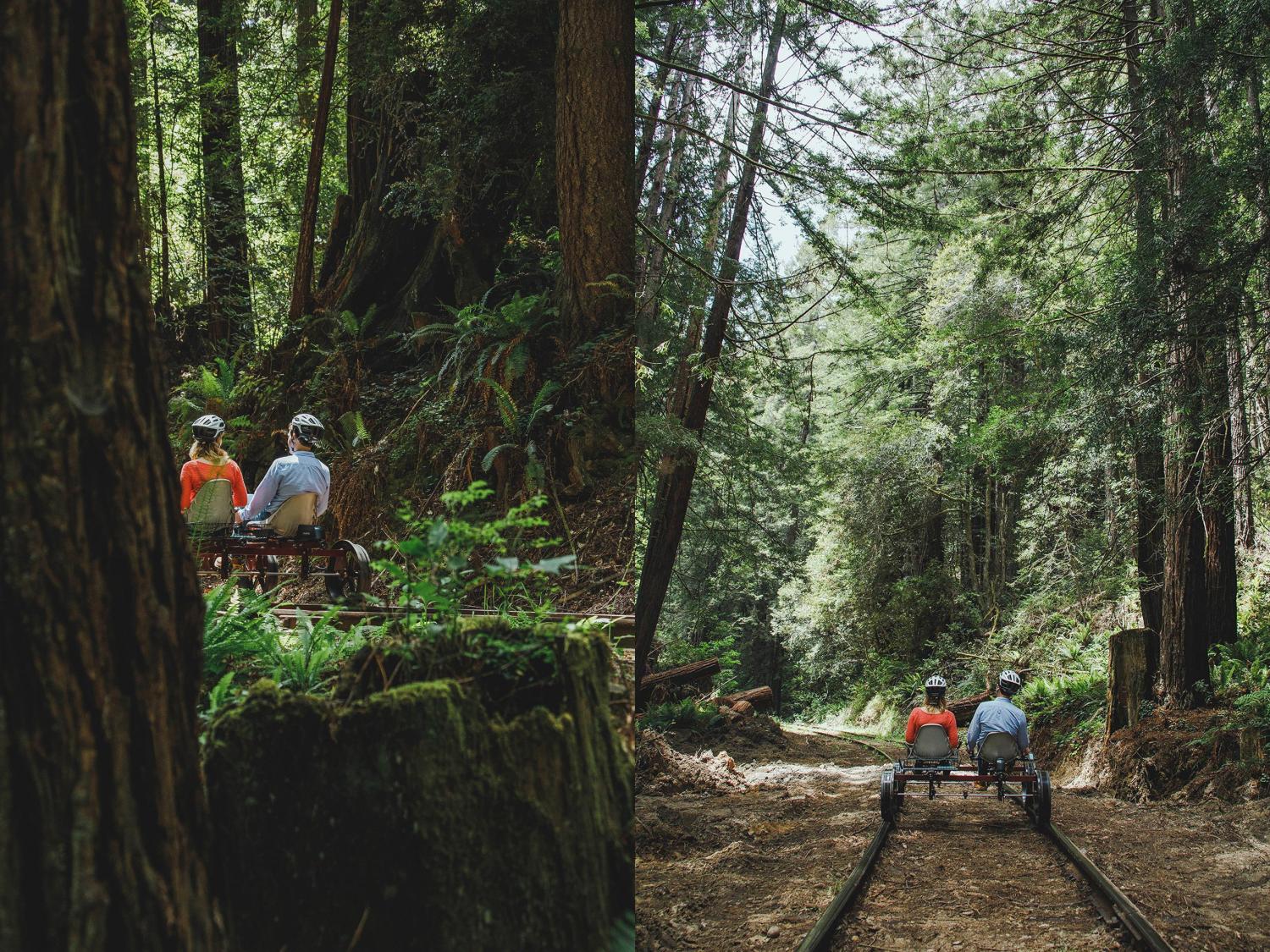 Rail Bikes Let You Pedal Through The Redwood Forest In California - Electric Railroad bicycles tour redwoods
