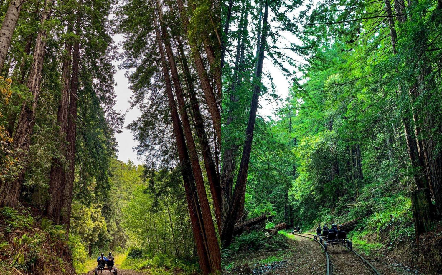 Rail Bikes Let You Pedal Through The Redwood Forest In California - Electric Railroad bicycles tour redwoods