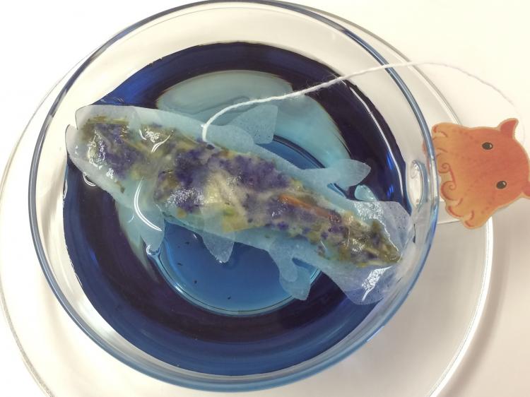 Sea Creature Teabags Come Alive In Your Cup - Fish teabag