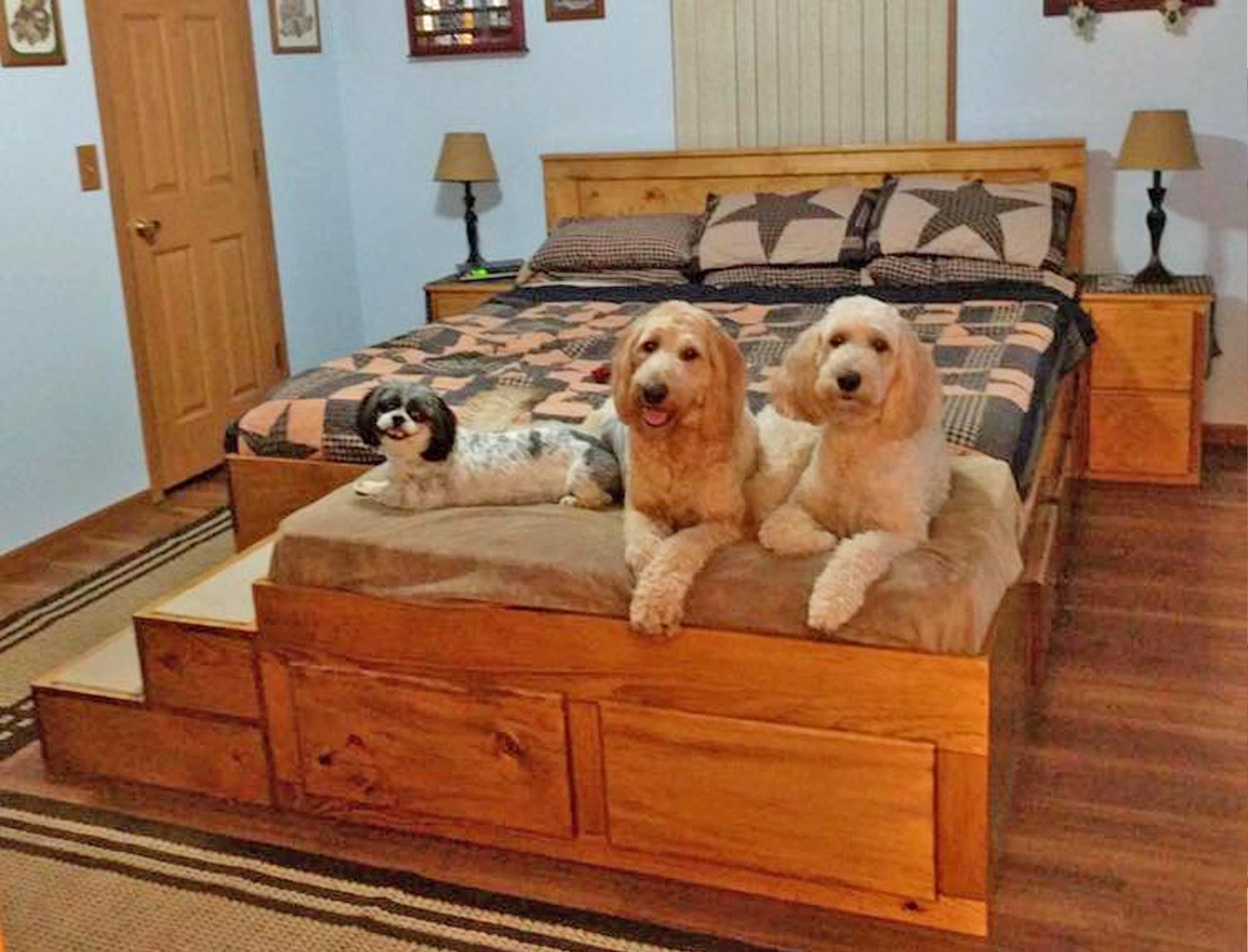 King Bed Has Built In Stairs Along With Extra Space At The End Of It For Your Dogs - Wooden king bed with space for dogs