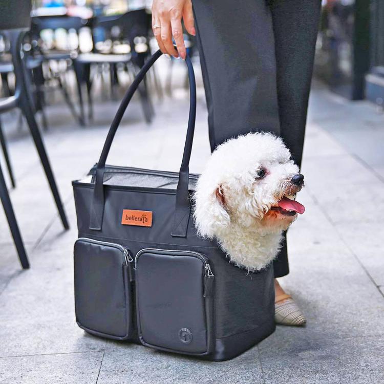 Small Dog Purse Explorer/Kaki – SCARAMUZZA ECO SHOP