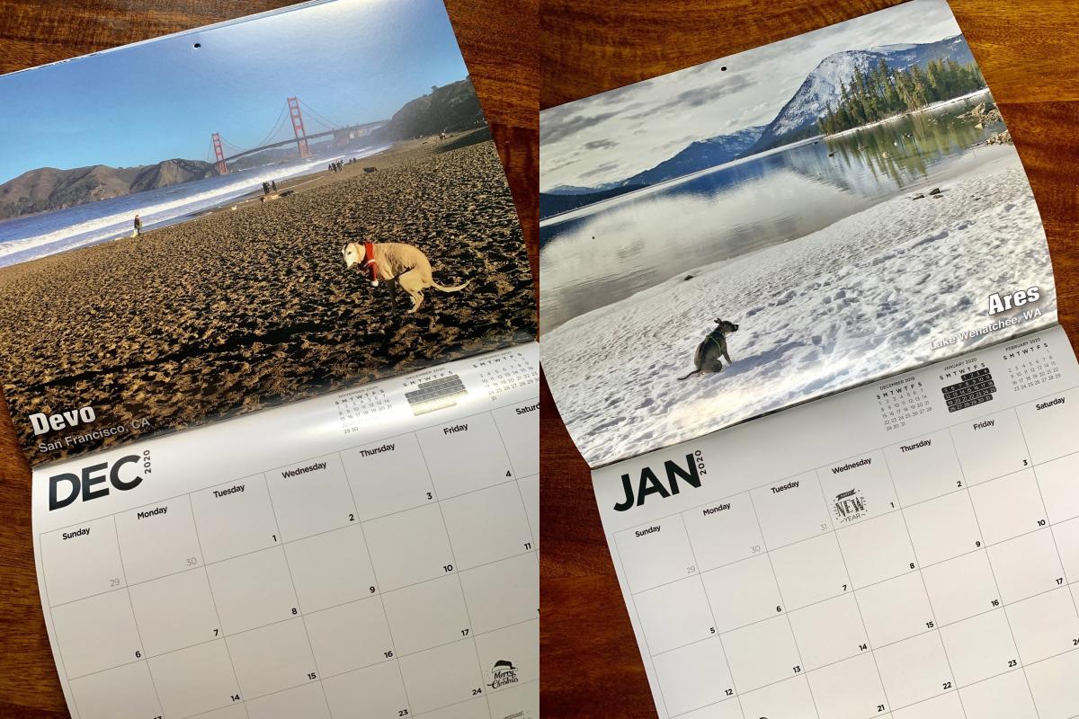 2020 Pooping Pooches White Elephant Gag Gift Calendar 