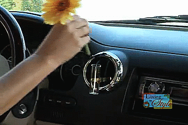 Auto Vase - Flower Vase For Your Car