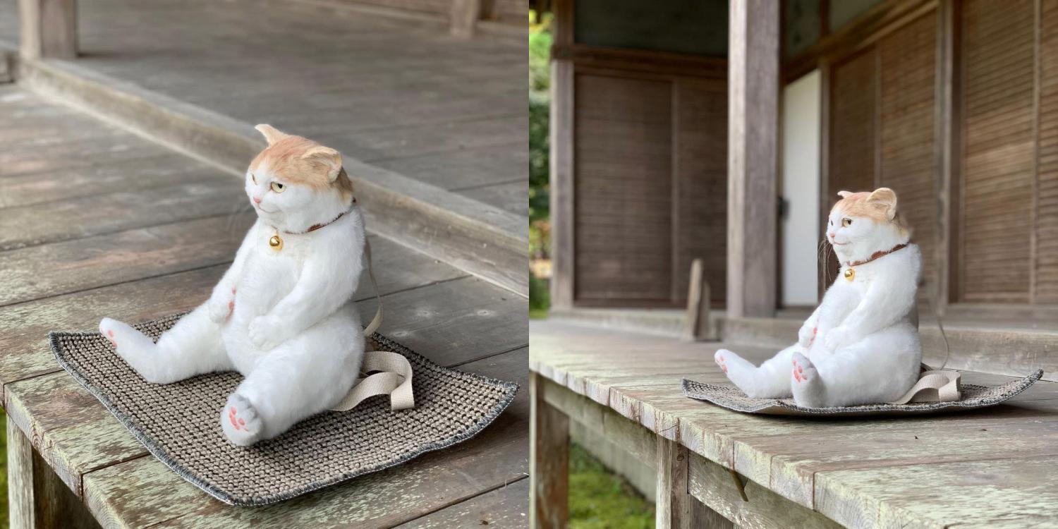 backpack that looks like a real cat