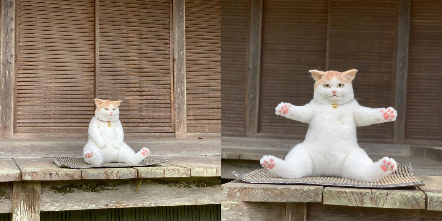 Japan Twitter Is Going Nuts Over a $1,000, Life-Sized Cat Backpack