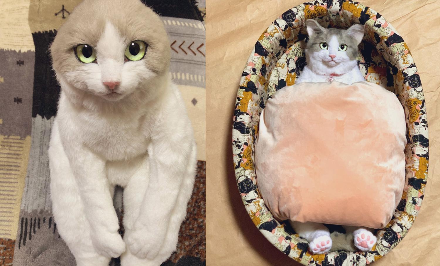 Realistic Cat Backpack looks like real live cat