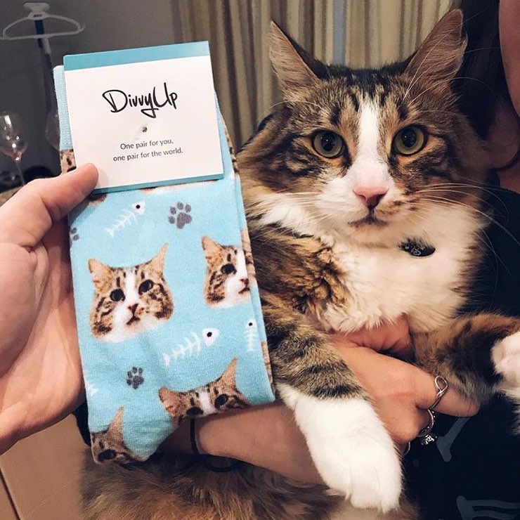 DivvyUp Custom Pet Face Dress Socks - Upload picture of cat or dog printed on dress socks