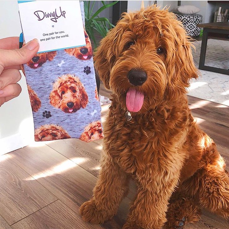 This Company Makes Socks With Your Pets Face On Them