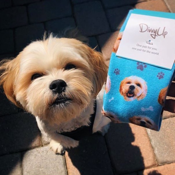 This Company Makes Socks With Your Pets Face On Them