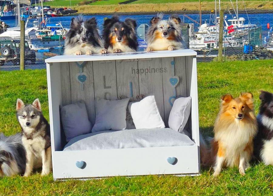Recycled Cabinet Dresser Dog Beds Sheltie Shacks