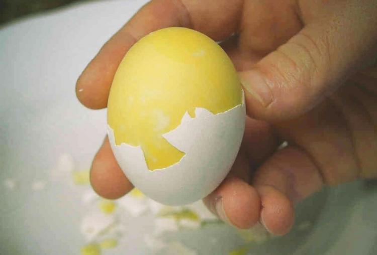 Egg spinner #eggspinner #eggs #boiledeggs #eggschallenge #fyp
