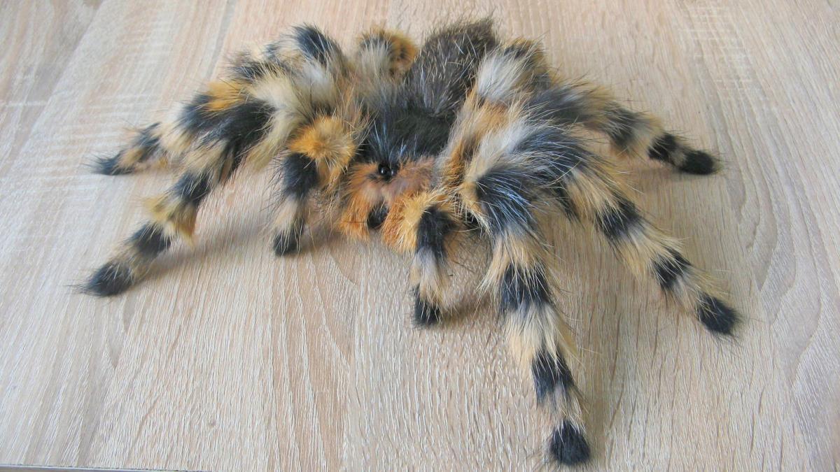 Extra Large Realistic Brown Tarantula Spider - 4.5 X 7.5 Inch - Prank/Gag Toy