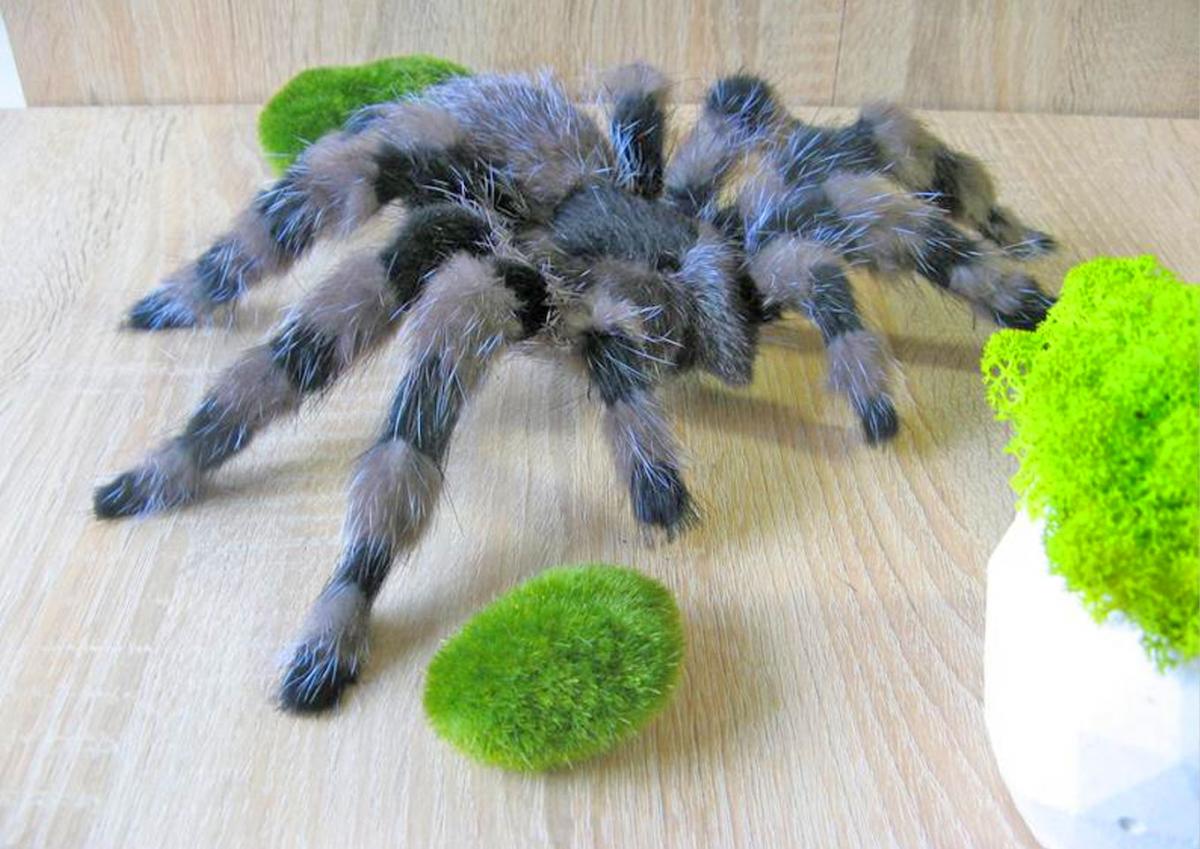 fake spiders that look real for sale