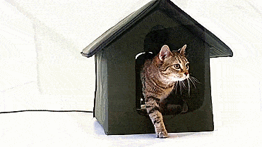 Heated Outdoors Cat House - Electric cat house keeps kitties warm while outside during winter