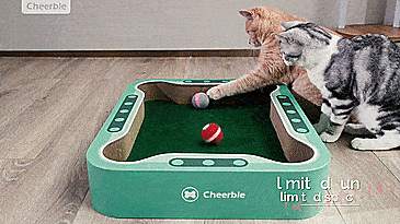 Cheerble Cat Board Game - Interactive Cat Board Game Has a Robotic Ball That Will Keep Them Busy For Hours
